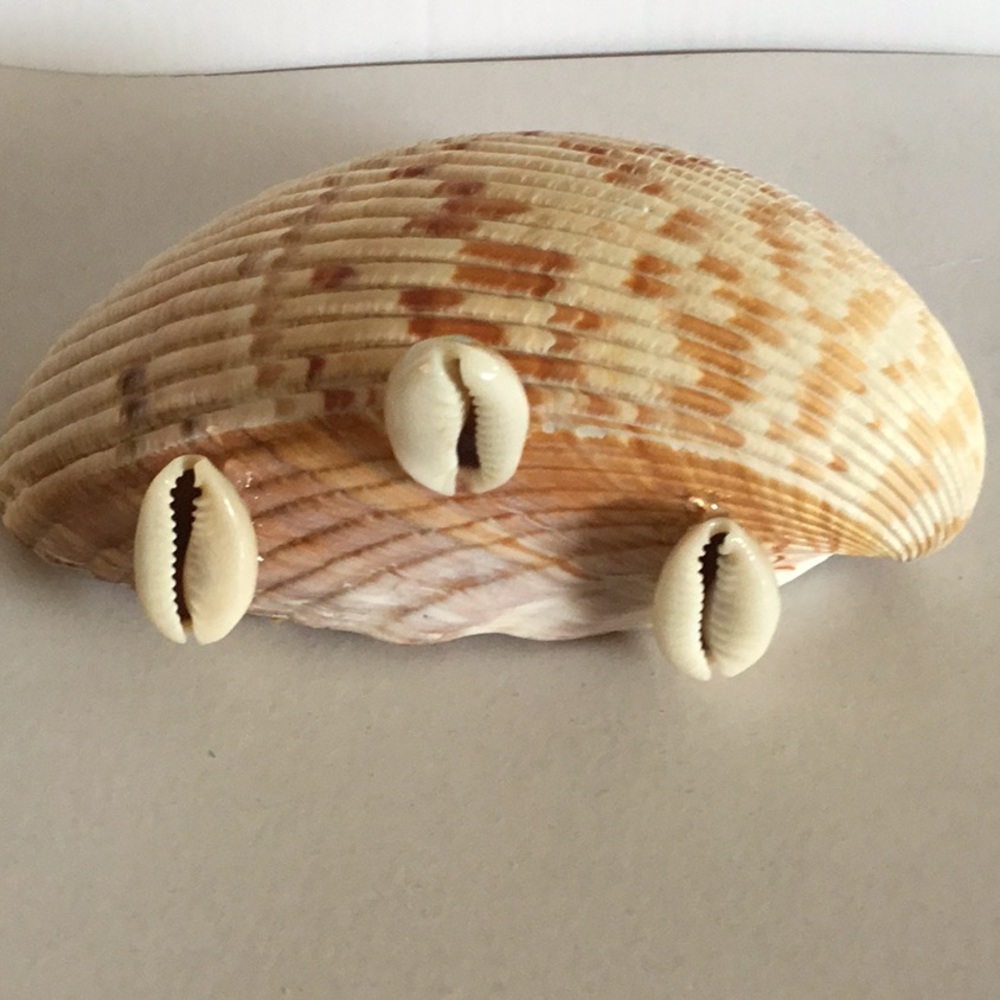 NWOB Seashell Native set - Picture 5 of 9